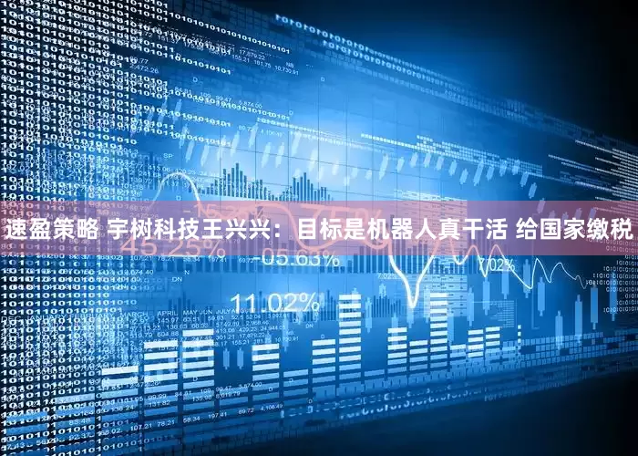 速盈策略 宇树科技王兴兴：目标是机器人真干活 给国家缴税