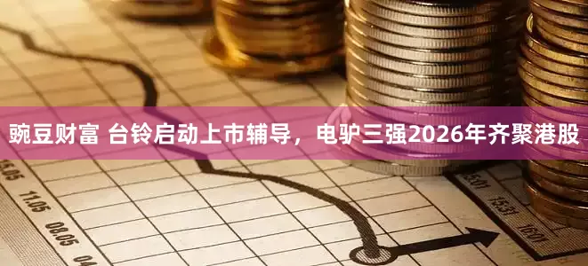 豌豆财富 台铃启动上市辅导，电驴三强2026年齐聚港股